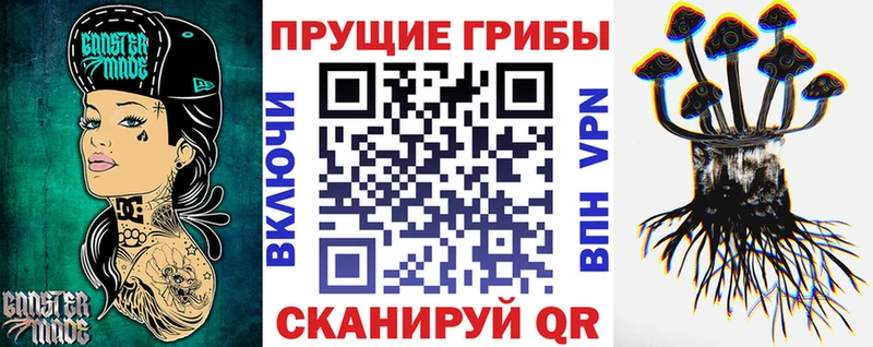 Галлюциногенные грибы GOLDEN TEACHER купить наркотики цена Новосиль